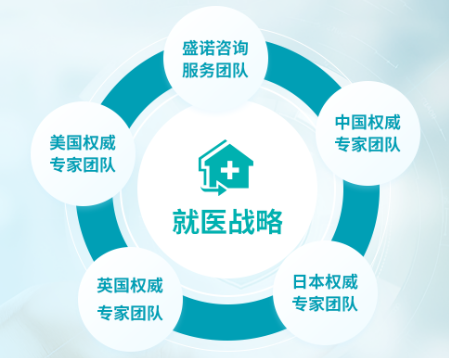 2026年海外就医中介机构遴选指南 靠谱机构的三大核心职责深度解析